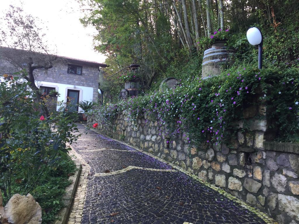 Villa Il Casale Del Mirto Vico Equense Exterior foto